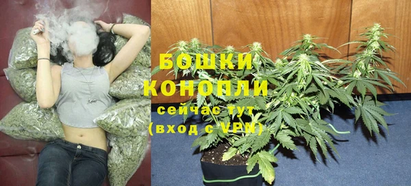 амф Бугульма