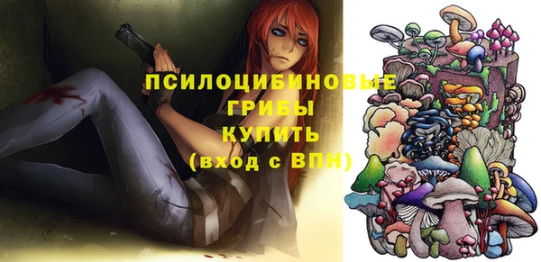 ГАЛЛЮЦИНОГЕННЫЕ ГРИБЫ Бронницы