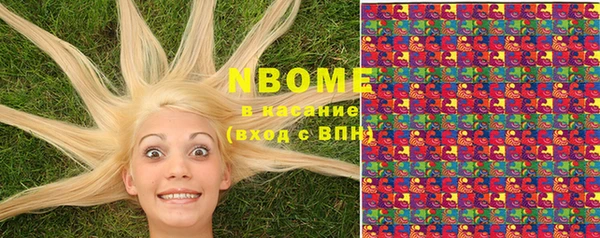 молекула духа Богданович