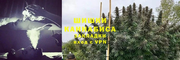 ГАЛЛЮЦИНОГЕННЫЕ ГРИБЫ Бронницы