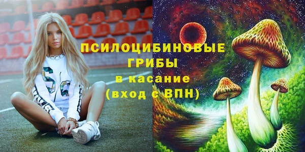 прущая мука Бородино